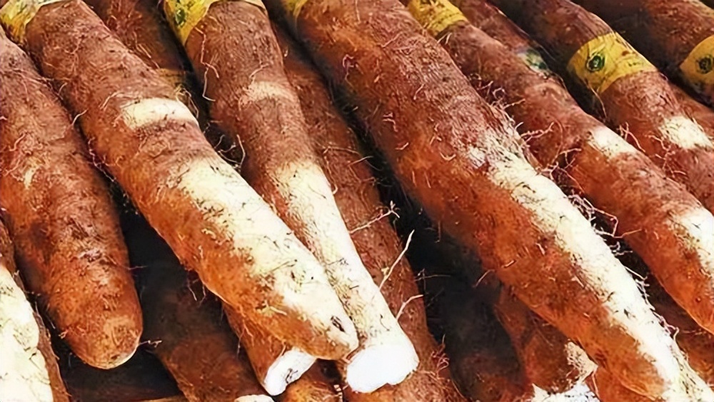 「品牌展播」中国地理标志农产品品牌展播（海南海口篇）