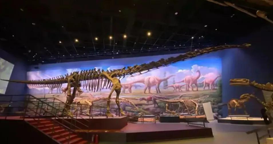 成都自然博物馆半价政策,成都自然博物馆能线下购票吗