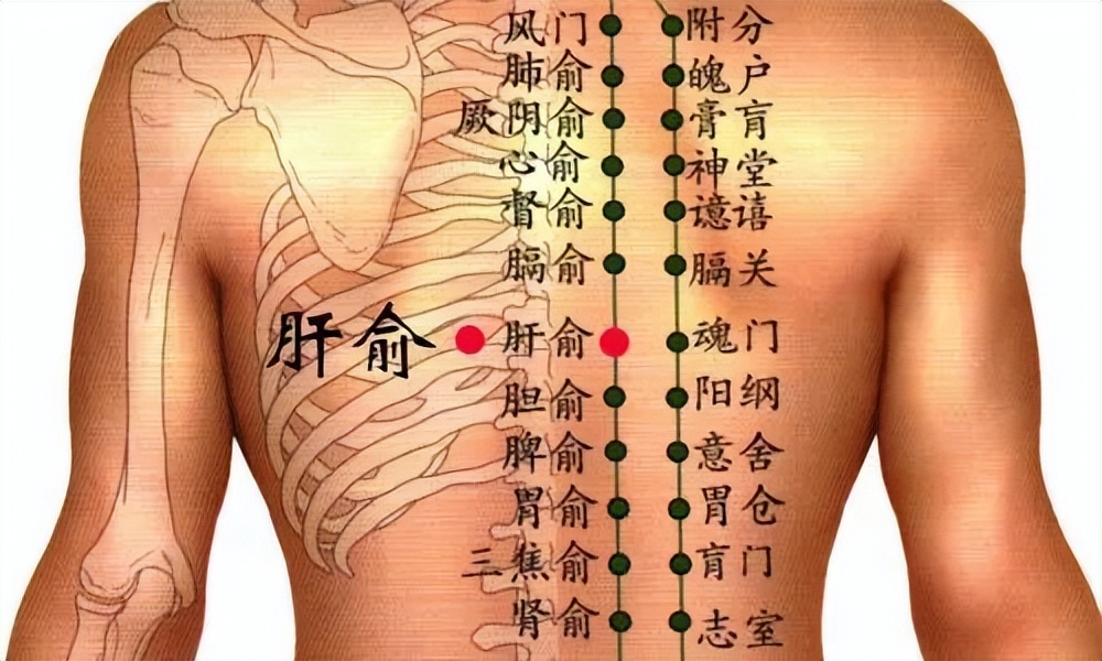 中医治小儿厌食针灸穴位,董氏针灸治疗帕金森处方