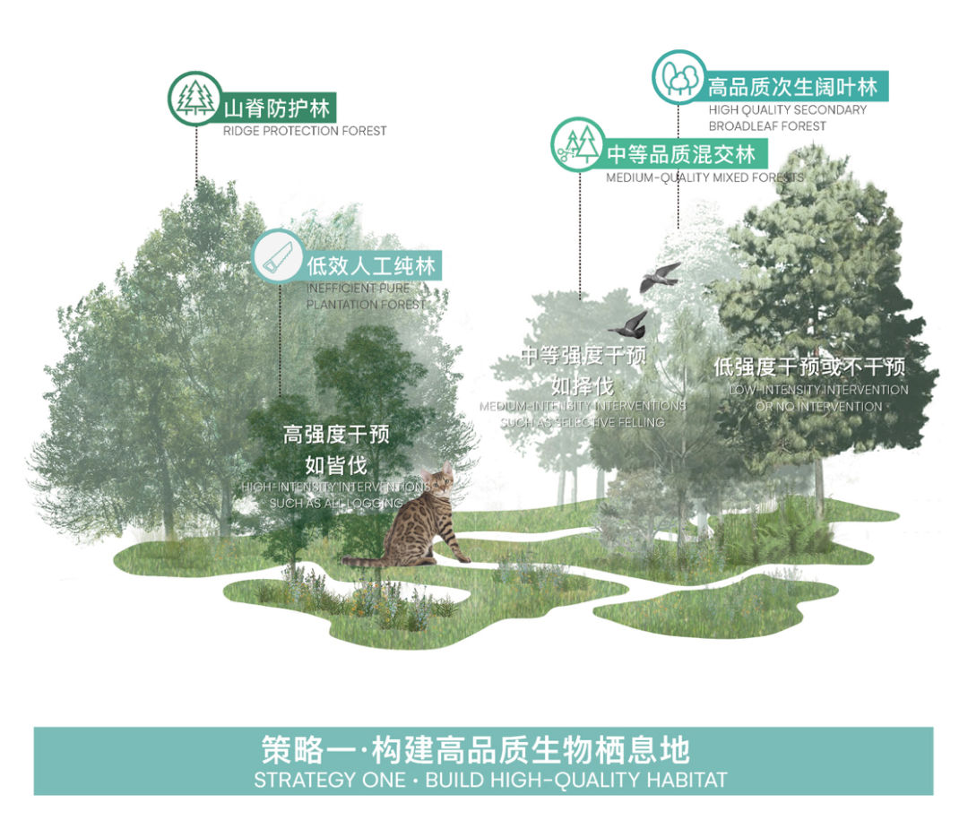 大运智慧公园中标方案,大运京基智慧园项目