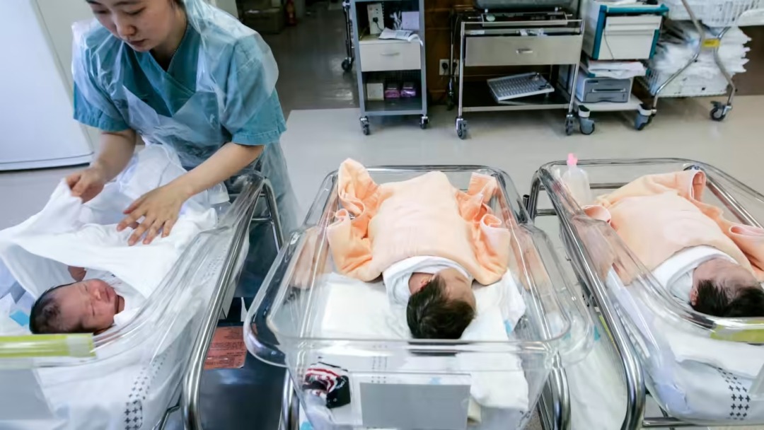 韩国生育率达历史新低的原因,韩国生育率低是什么原因