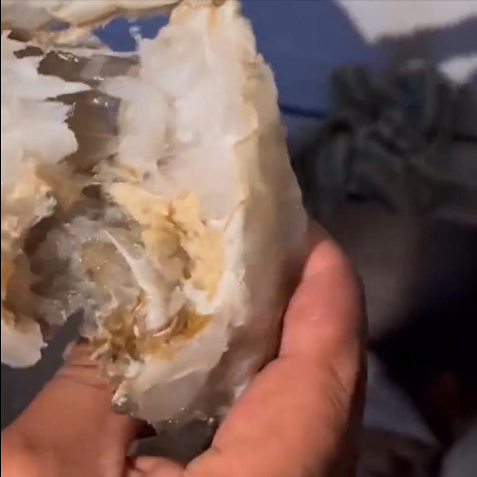 男子买4箱螃蟹发现全是空壳,男子花400元买海鲜没有肉全是空壳