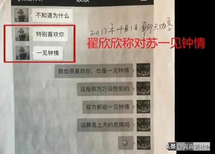 翟欣欣案全过程最终判决视频,最毒妇人翟欣欣