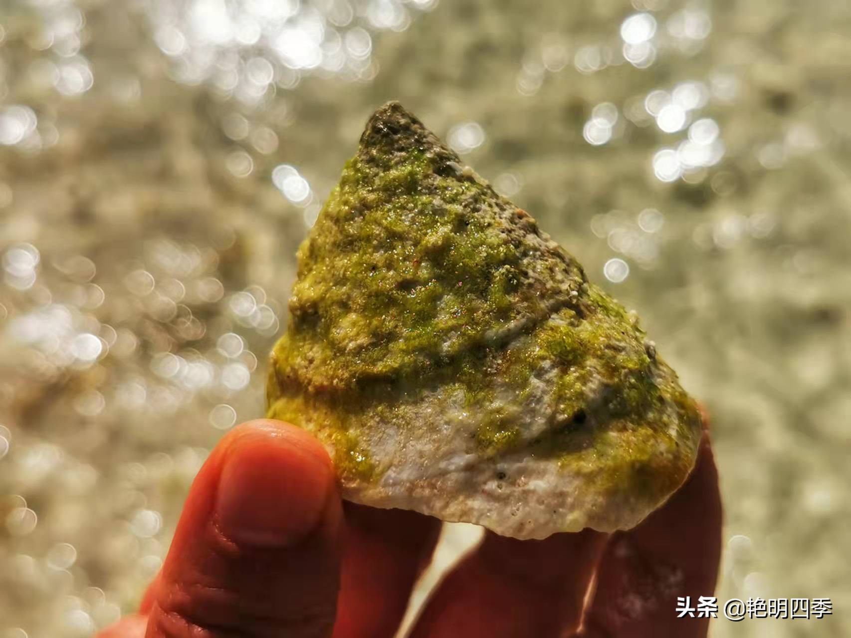 西沙群岛南海之梦游轮,西沙群岛南海之梦游轮视频