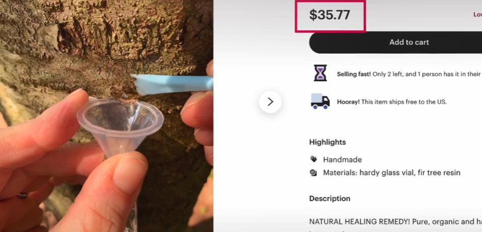 美国的摇钱树，收集到这种昂贵的树脂，就能轻松月入百万