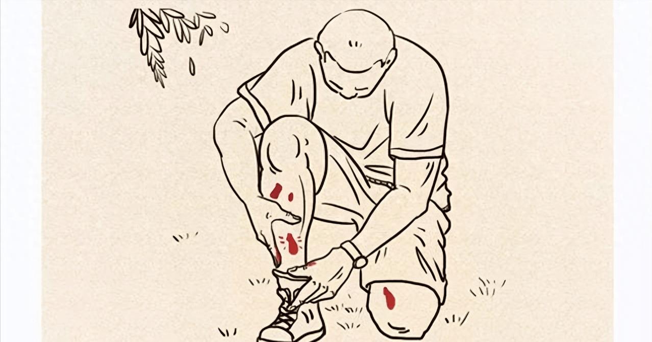 如果被蚂蝗咬住如何自救,蚂蟥捉回来怎么办