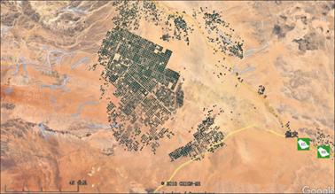 沙特人如何种地,怎么养活tinder