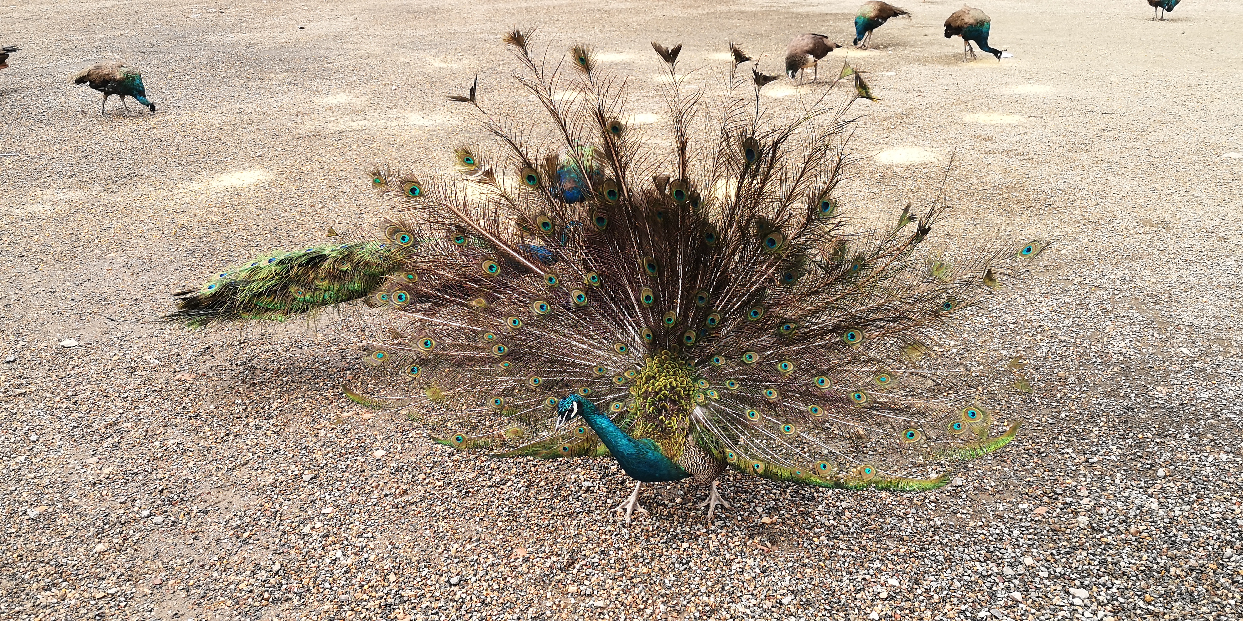 天津上乐园蓟县旅游攻略,天津蓟州太平寨旅游