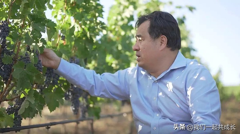 美国红酒爱慕酒庄,美国爱慕酒庄伊索赤霞珠红葡萄酒