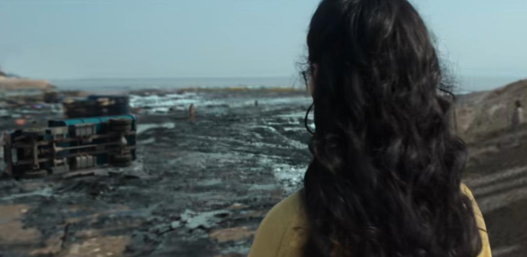 风吹半夏中隐藏的创业秘密,风吹半夏创业之路