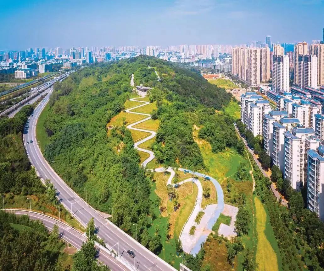 一座“追光”之城背后的软实力