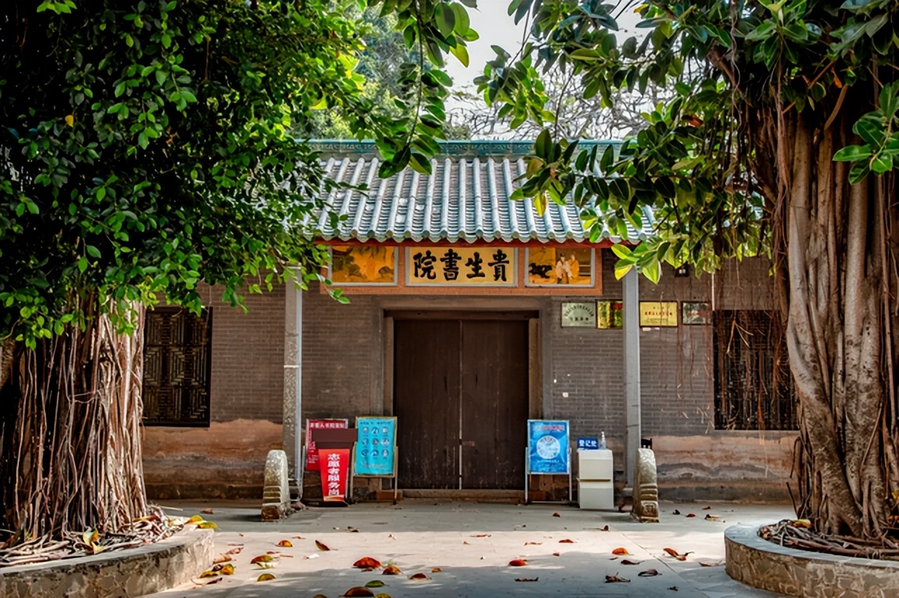 一夜爆火!海南游客骑电动车一日游徐闻