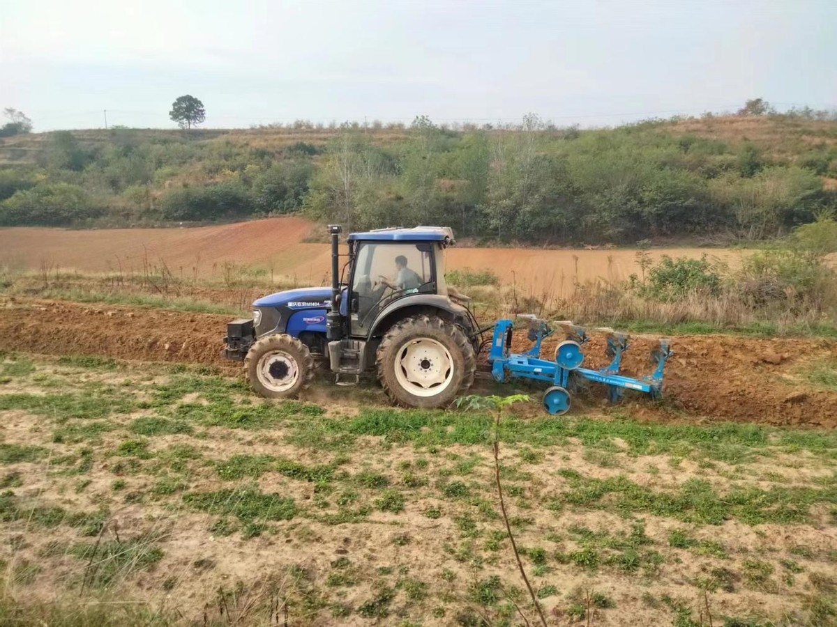 做强烟叶产业助推乡村振兴安良镇 (白沙镇烟叶产业蓬勃发展)