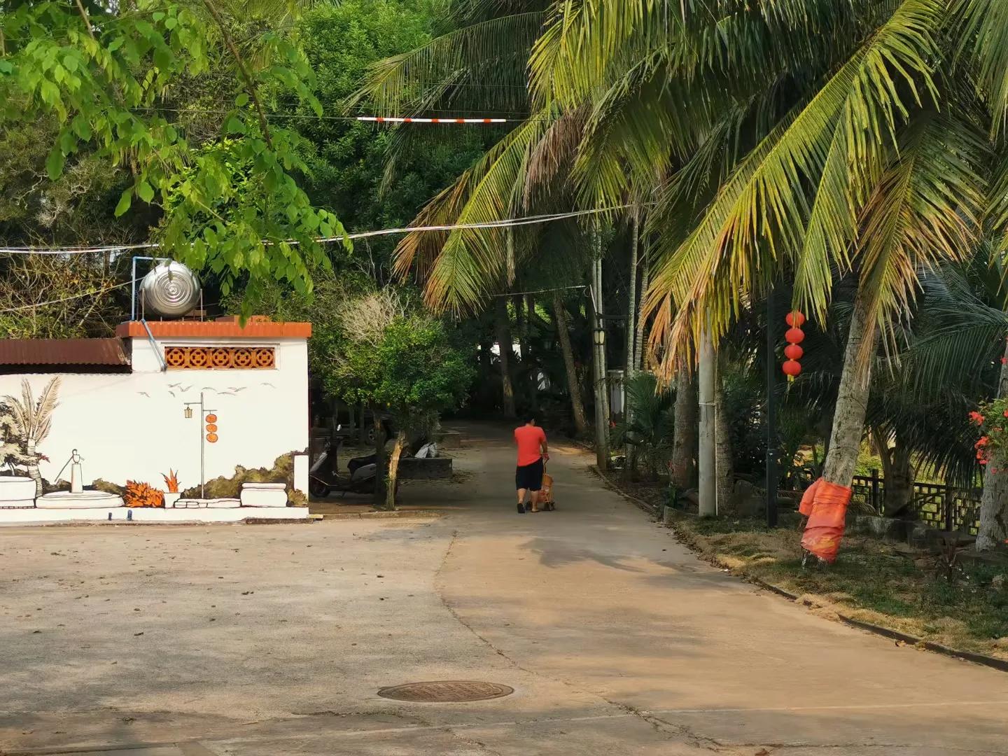 文昌椰林在哪里,文昌椰林靠海吗