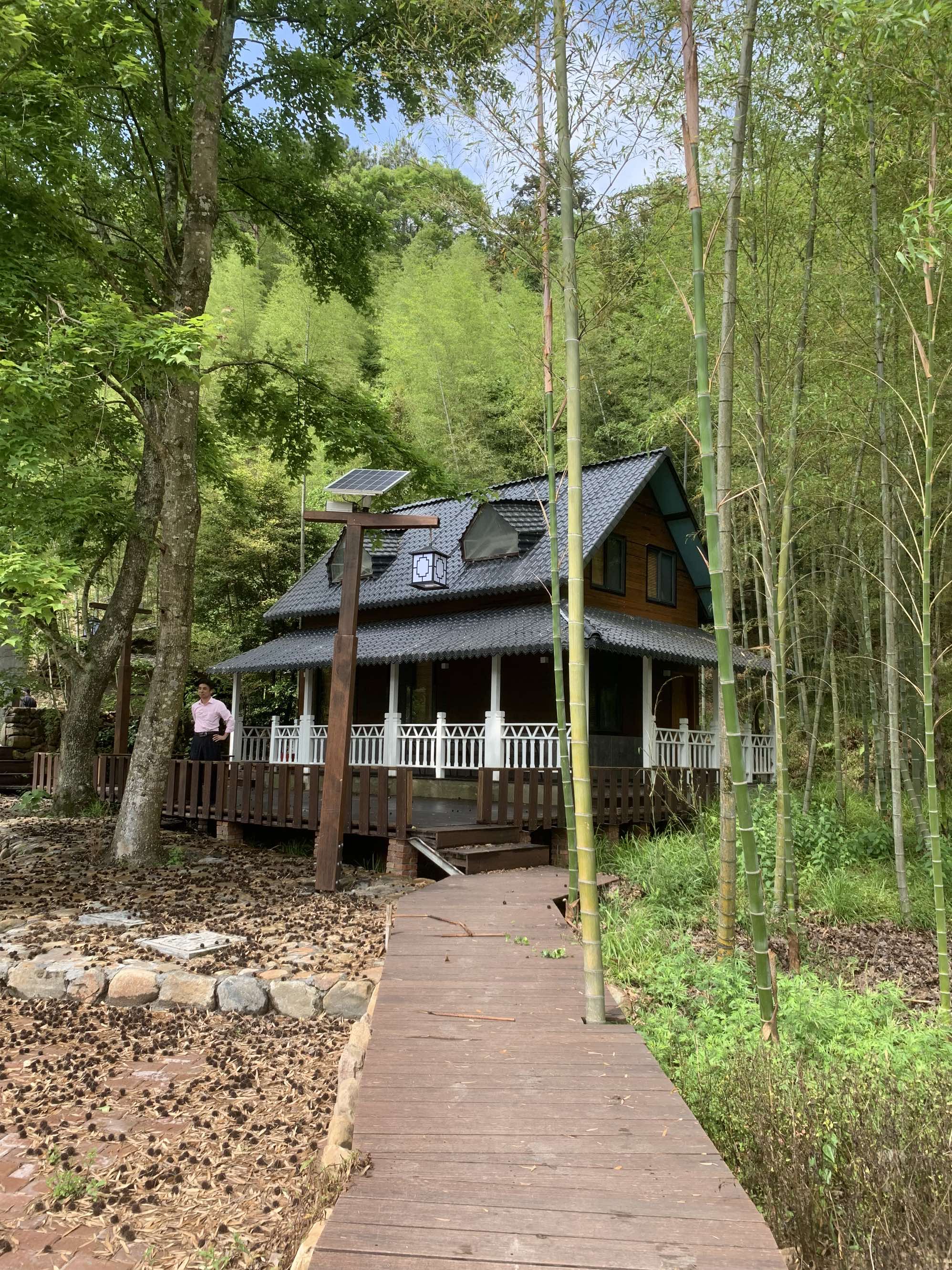 高高的紫云山,我们的青春故事曾在这里演绎