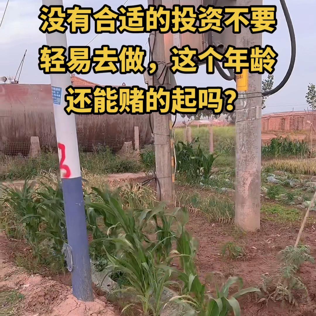 没有合适项目不要轻易的去投资，我们这个年龄还赌的起吗？...