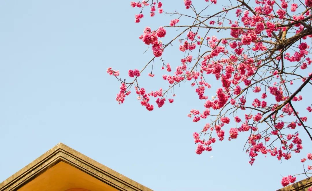 林深时见鹿溪午不闻钟李白,盘点李白最温柔的诗词