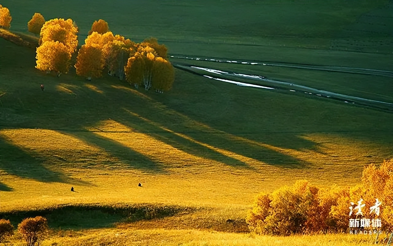 看到永辉超市“翻车”这一幕，我终于读懂了任正非的那句“活下去”
