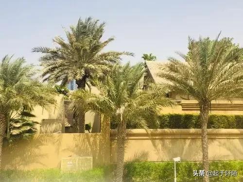 迪拜现状带你看看真实的迪拜,迪拜的真实现状纪录片