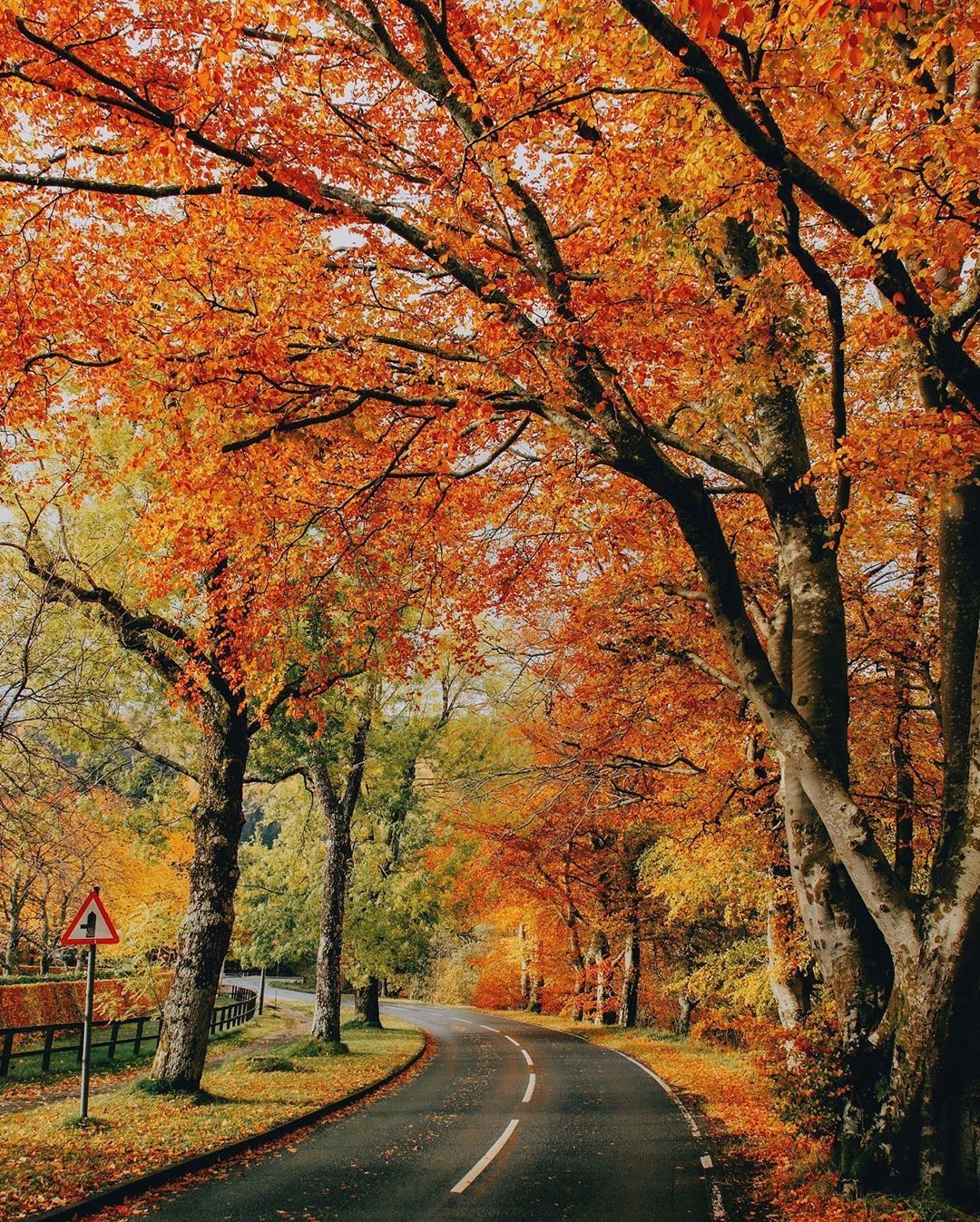 面对生活要笑起来,人生路上当个哑巴又如何