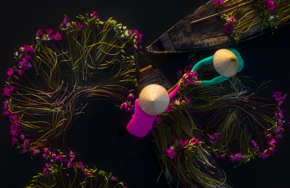 中国制造业加速转移越南,制造业向越南转移