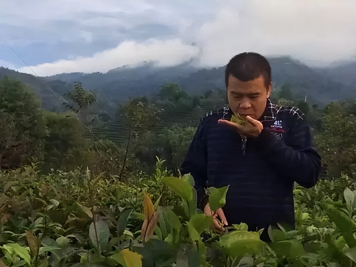 广东大叔发现商机变废为宝,将不要的叶子售卖,年销售达1000多万