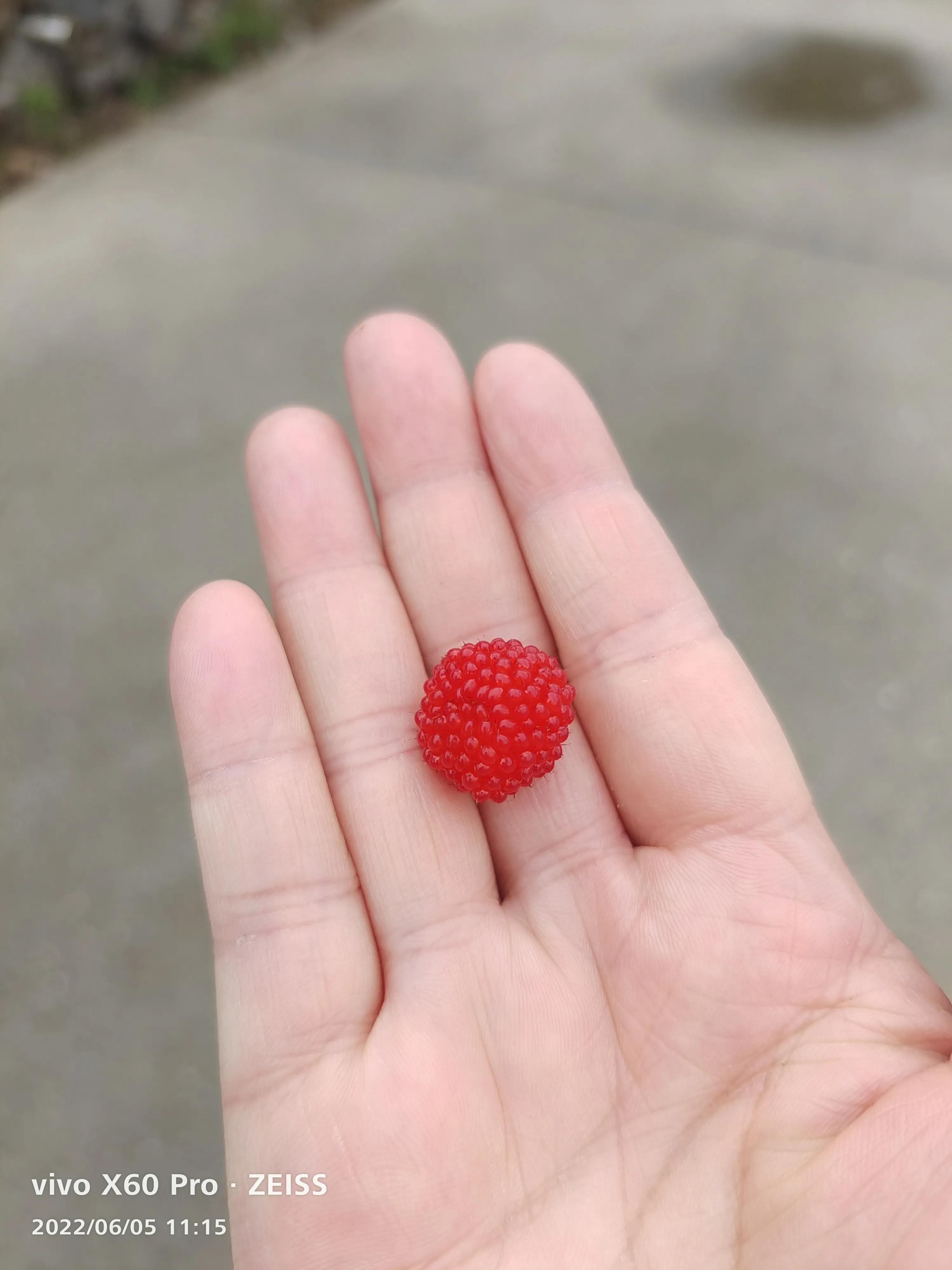 疏影日记之忠实记录生活6.5