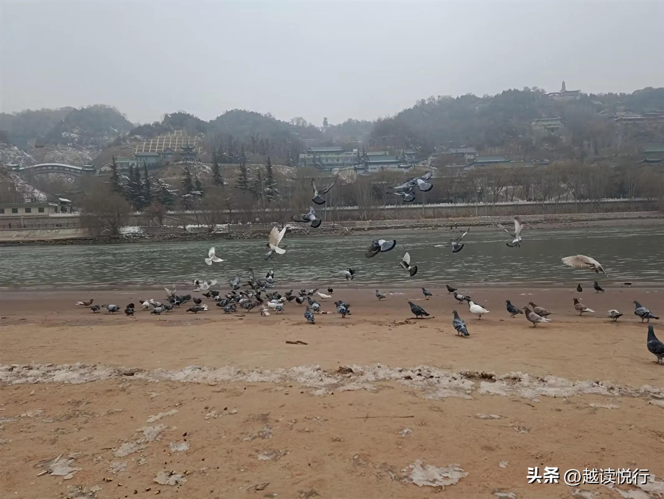 北方春来迟，料峭春寒中，看黄河水暖，白塔山醒！