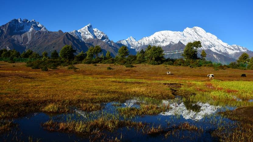 如何睡觉睡到自然醒,睡觉睡到自然醒数钱数到手抽筋