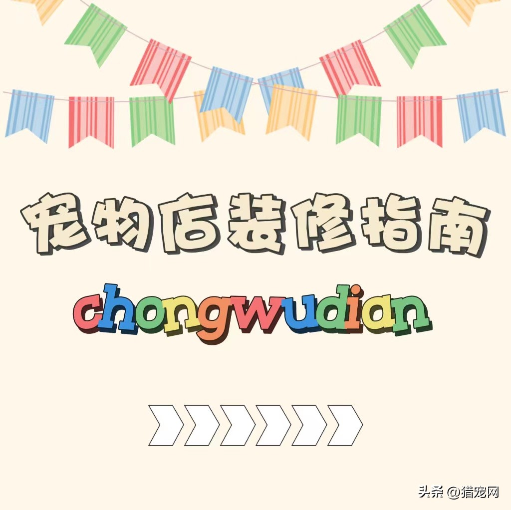 宠物店装修方案大全图,宠物店装修指导