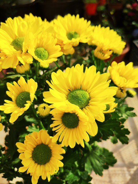 强烈推荐10个让你人生开挂的建议,人生开启开挂模式