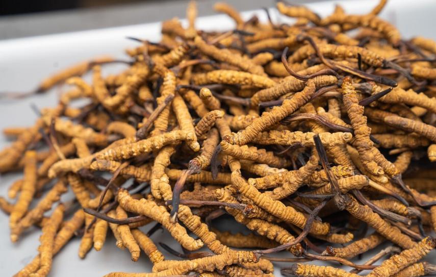 提醒爸妈别再上当保健品,带孩子做保健品有必要吗