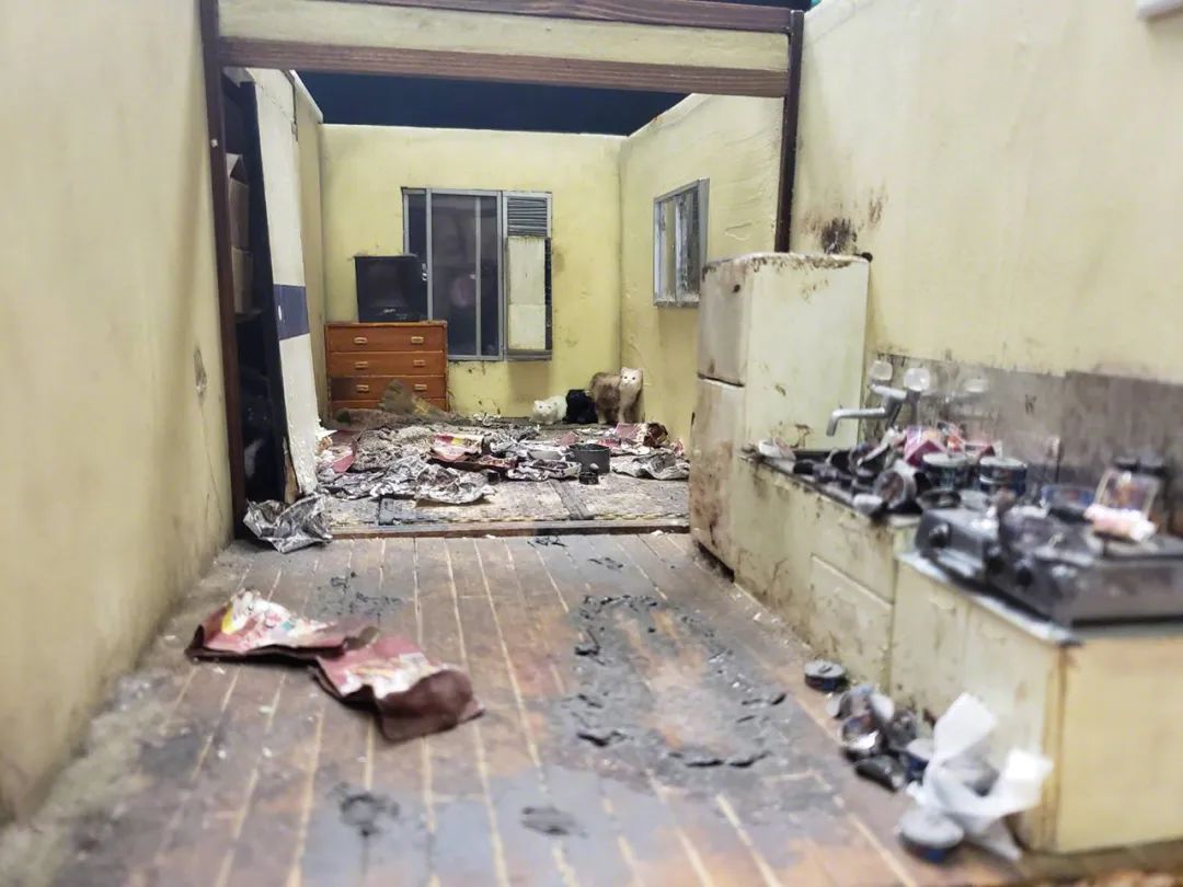 网瘾老人，被直播间“好大儿”精准收割