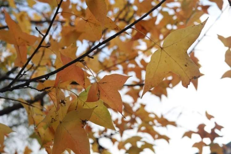 最值得打卡的动物园,国庆必打卡动物园推荐