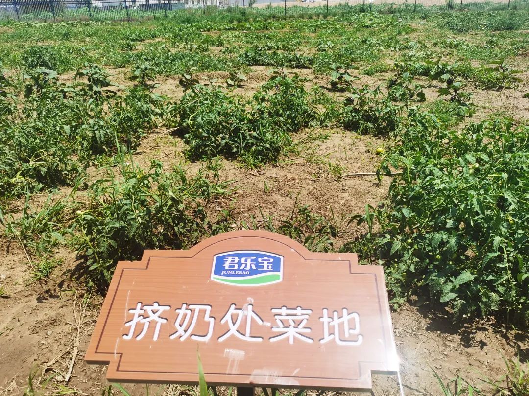 君乐宝威县乐源君享,君乐宝农场纪录片