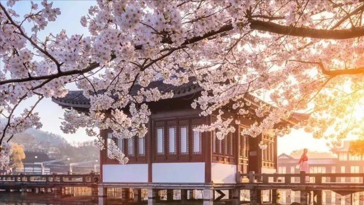 杭州四月美景,三月的杭州绝美