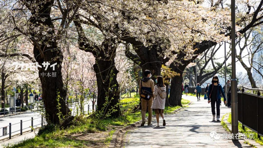 365张照片回顾,365张相片