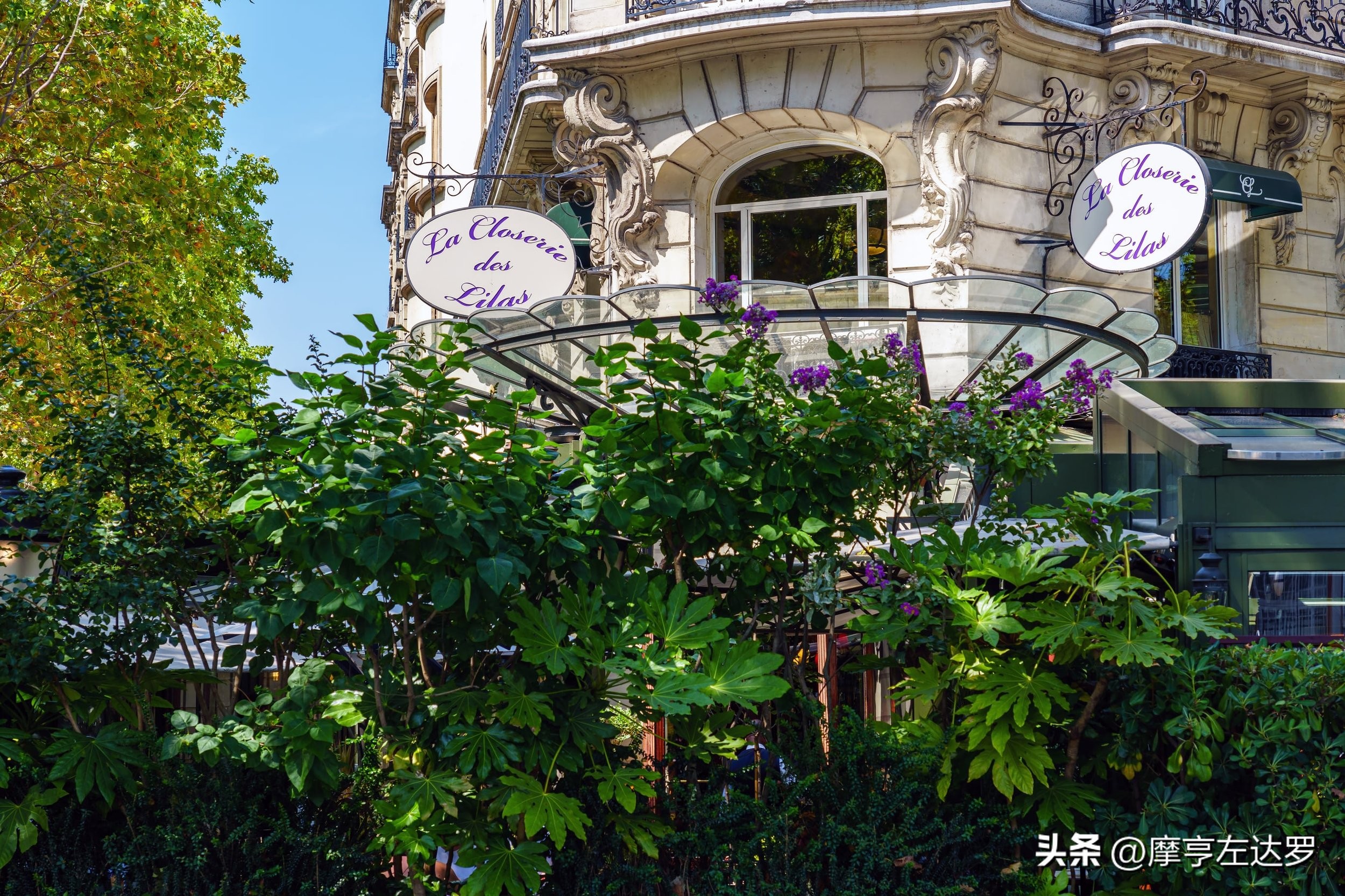 巴黎最有名咖啡,法国巴黎最著名的咖啡店