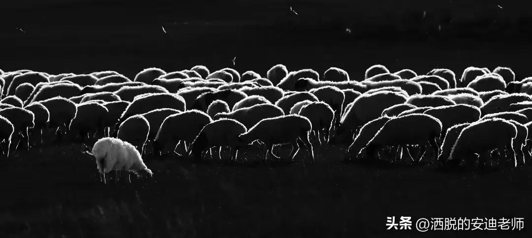 fakeittillyoumakeit图片,fakeittillyoumakeit电影