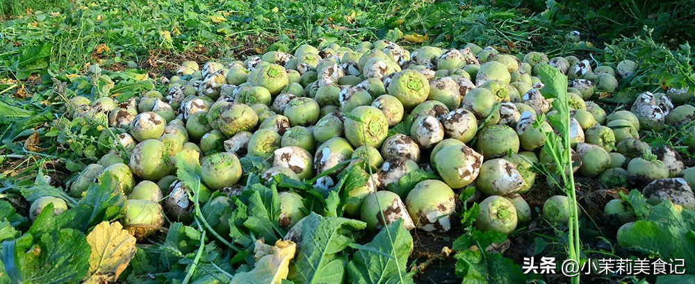 熟腌芥菜的最佳腌制方法,腌芥菜怎么腌又脆又嫩