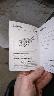 老外用虫子接吻器狂亲蚯蚓，连苍蝇路过都要被嘬两口