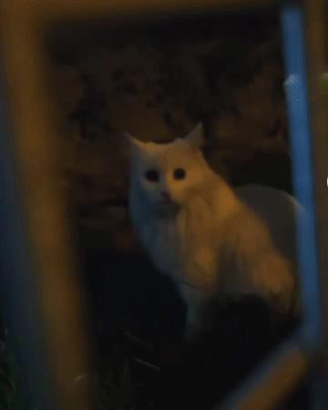 赵明明：上班摸鱼，是我的梦想!