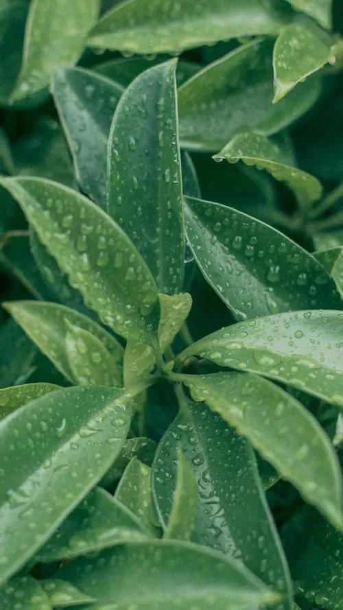 怎样去除室内甲醛最有效的方法,怎么预防甲醛最有效的方法