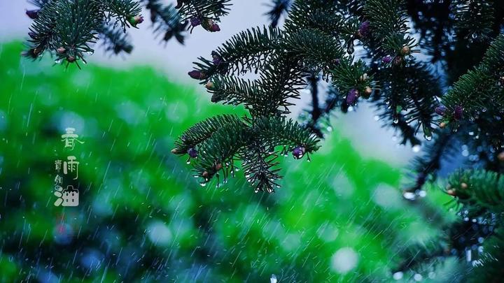 形容细雨绵绵的古诗词,描写雨的古诗有哪些整首