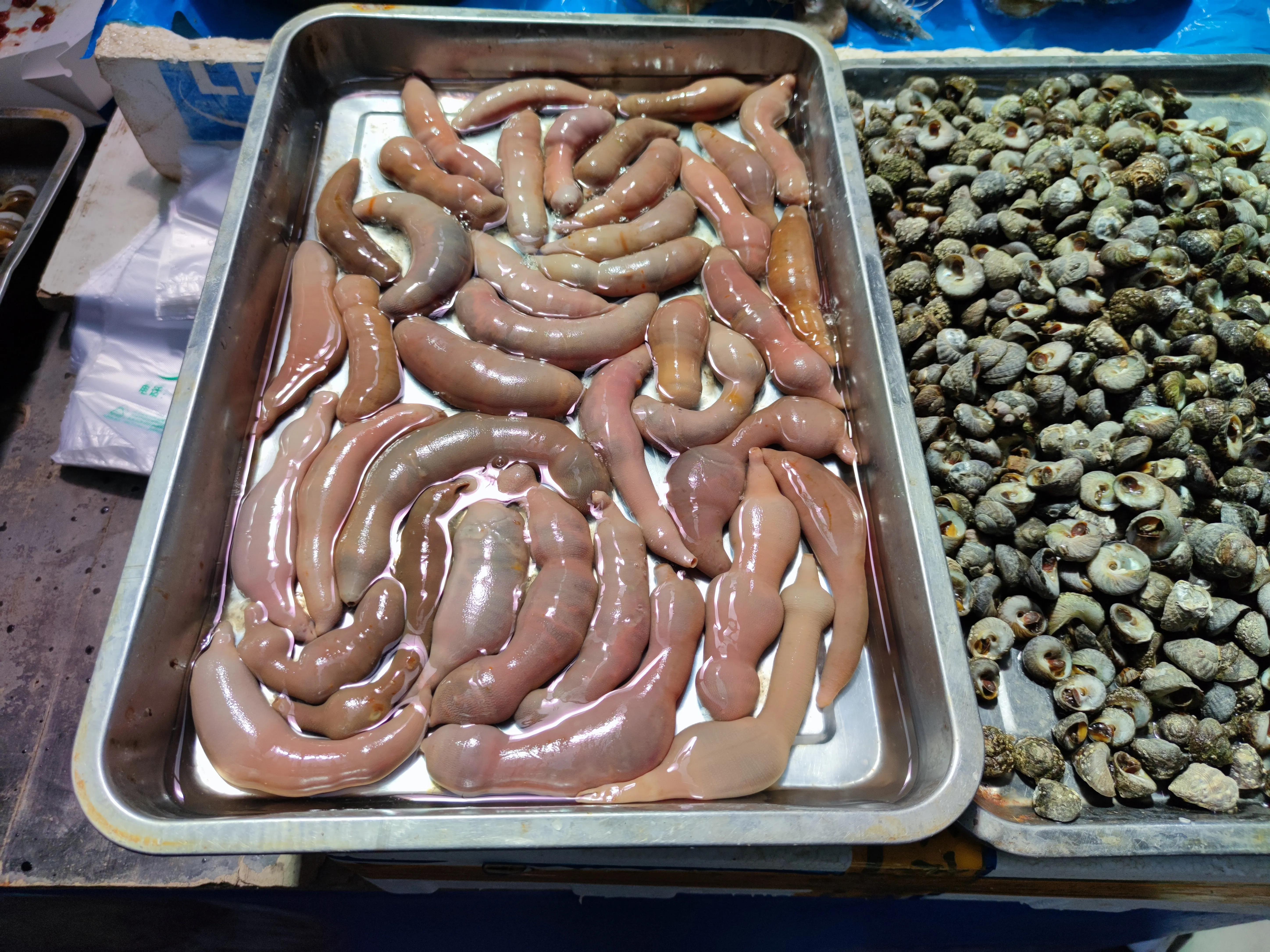 休渔期最不缺的海鲜,伏季休渔最好吃的海鲜