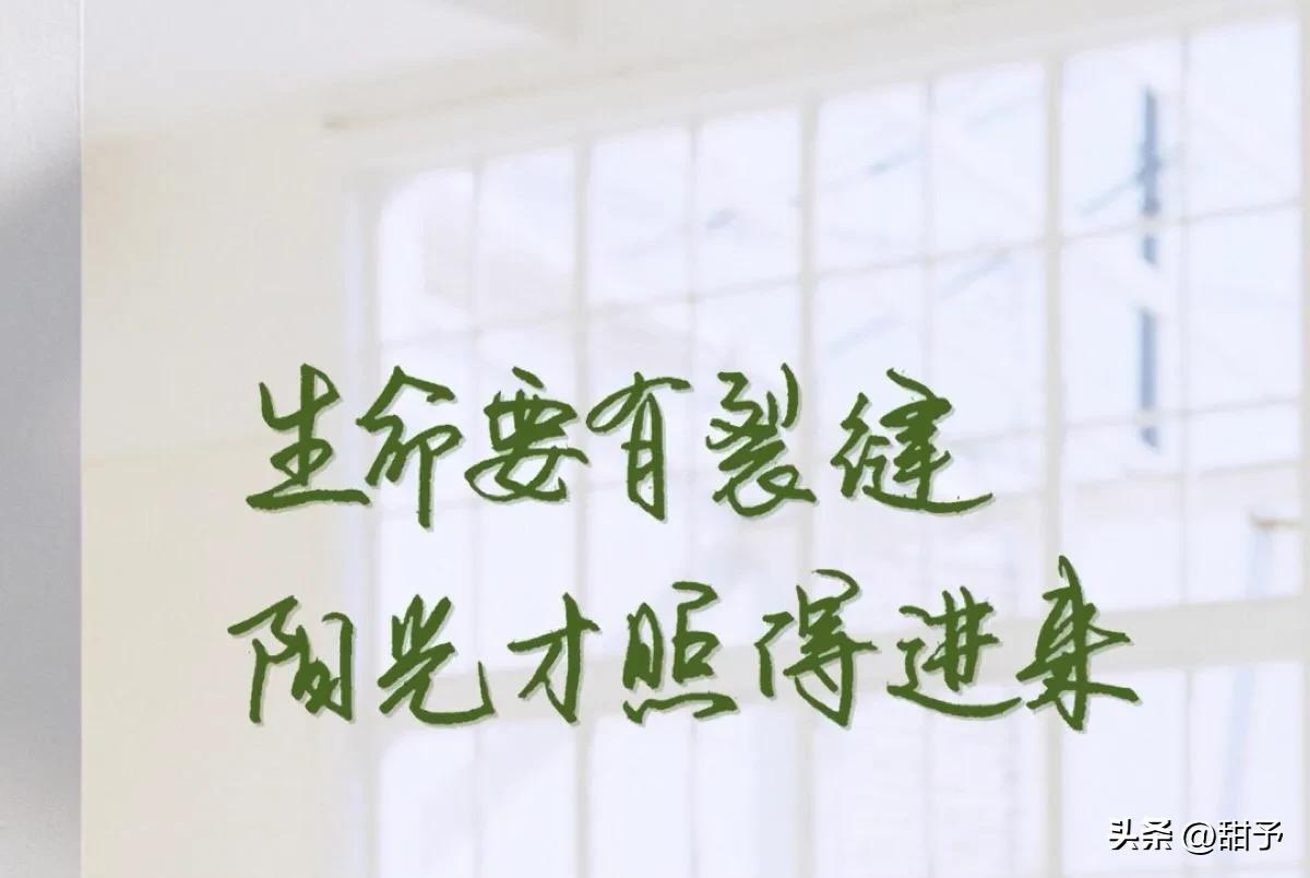 赚钱能治疗一切矫情视频,赚钱能治一切矫情下一句