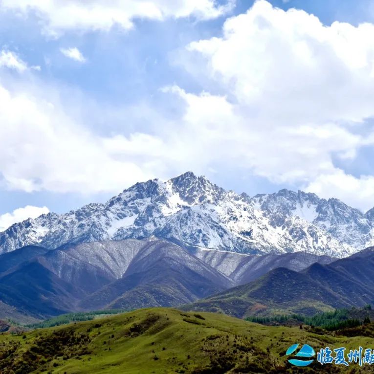 2024骞村宸磋兒閰嶈壊,缁胯壊鐨勫宸磋兒閰嶈壊