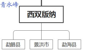 云南西双版纳古树普洱茶价格,云南和西双版纳的普洱茶好吗