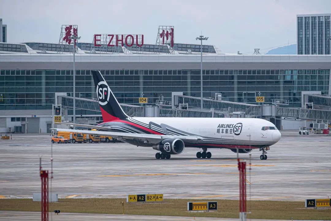 中国快递首次承运大熊猫，顺丰凭啥抢了UPS的活？