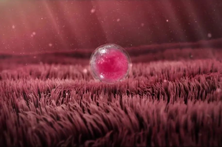 保护膜没有破会怀孕吗,怀孕初期皮肤屏障受损怎么办